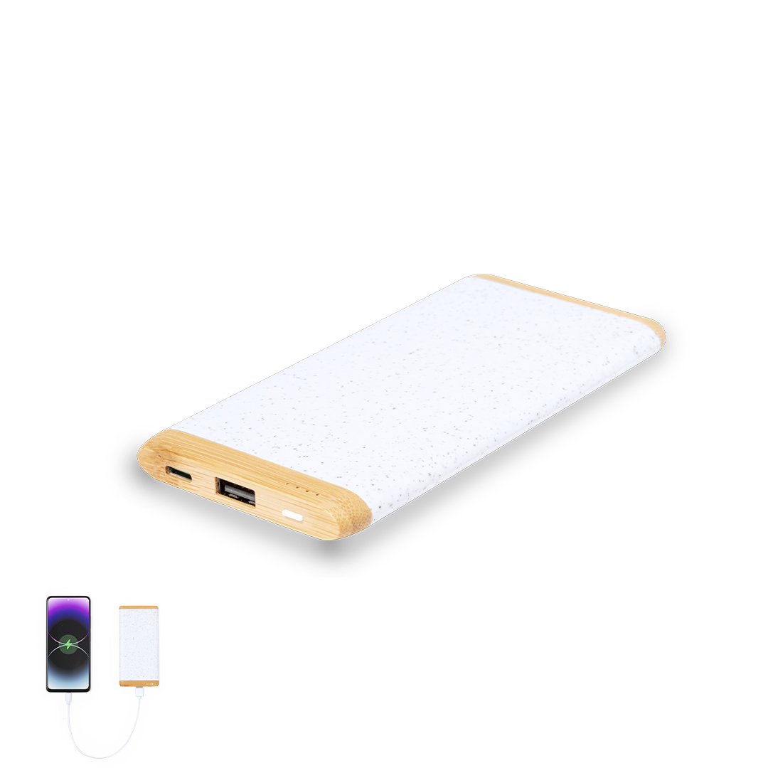 Coquin Power Bank