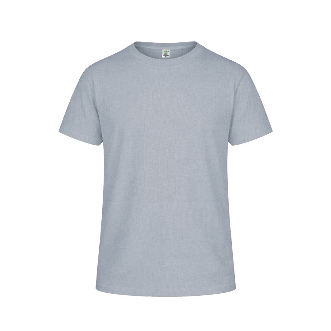 GRIS