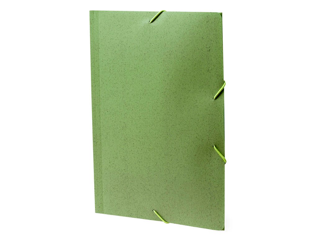 Carpeta Abejorro