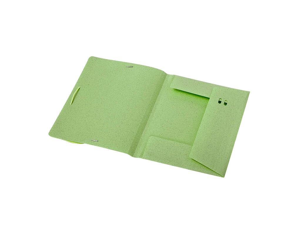 Carpeta Abejorro