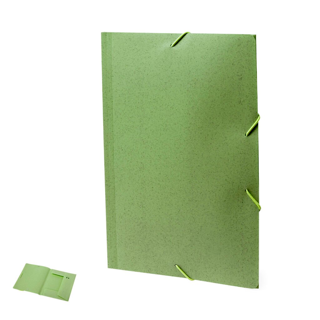 Carpeta Abejorro