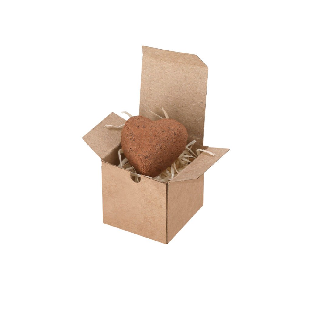 Caja Corazón Plantable Brote