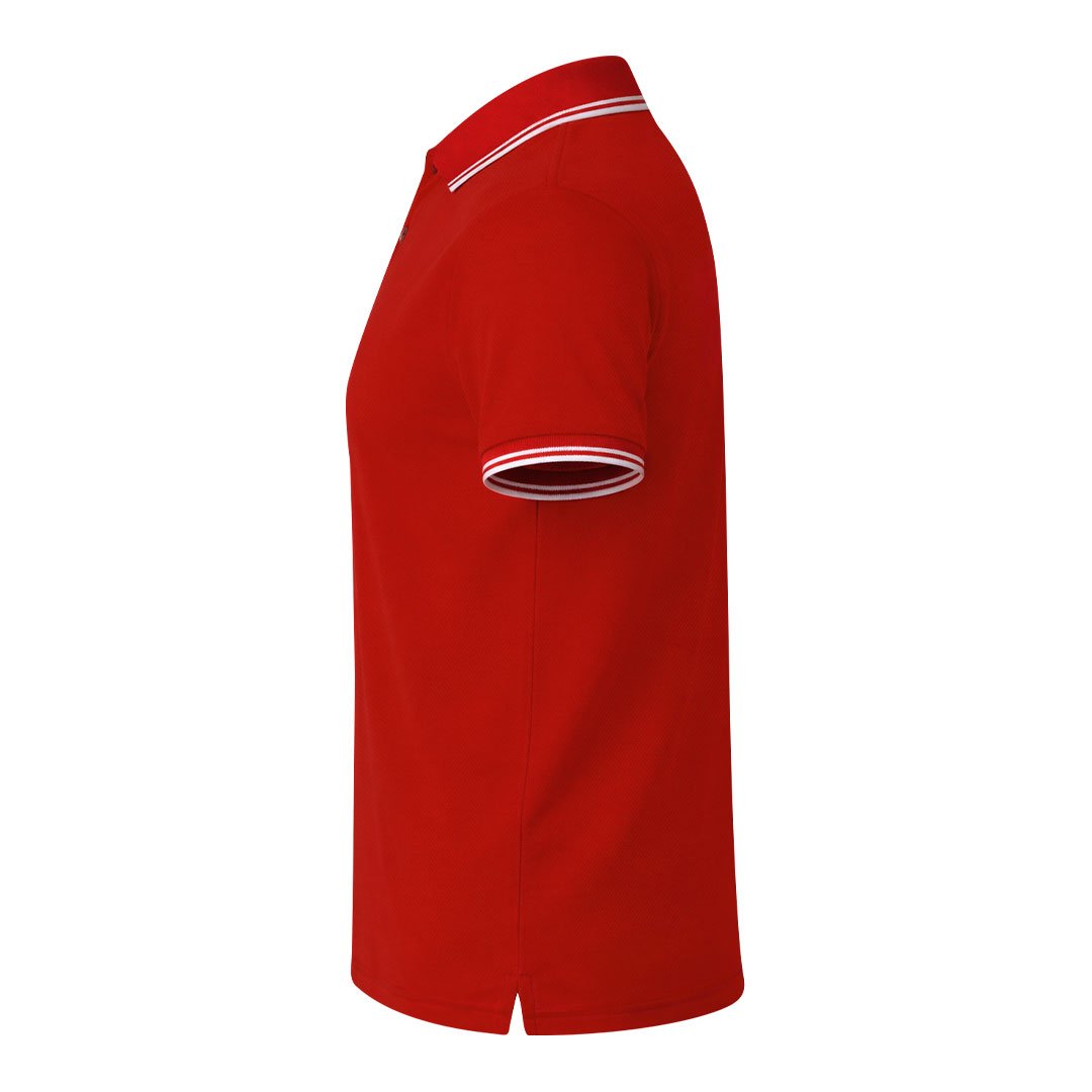 Polo Olivino