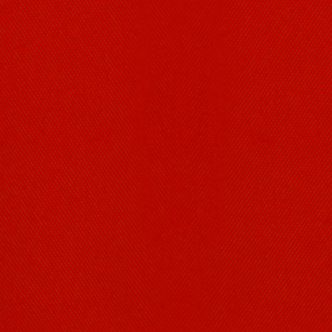 Polo Olivino