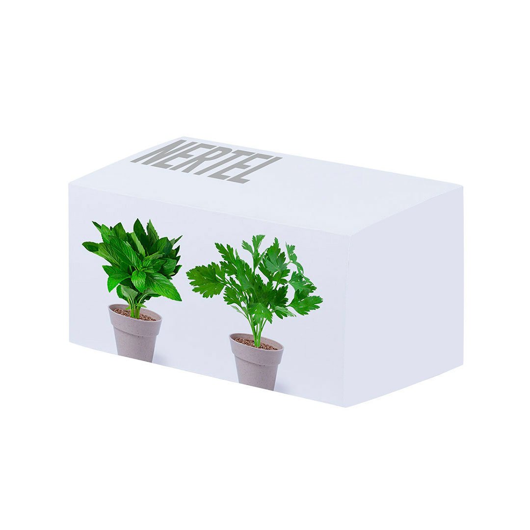 Set Cigarra