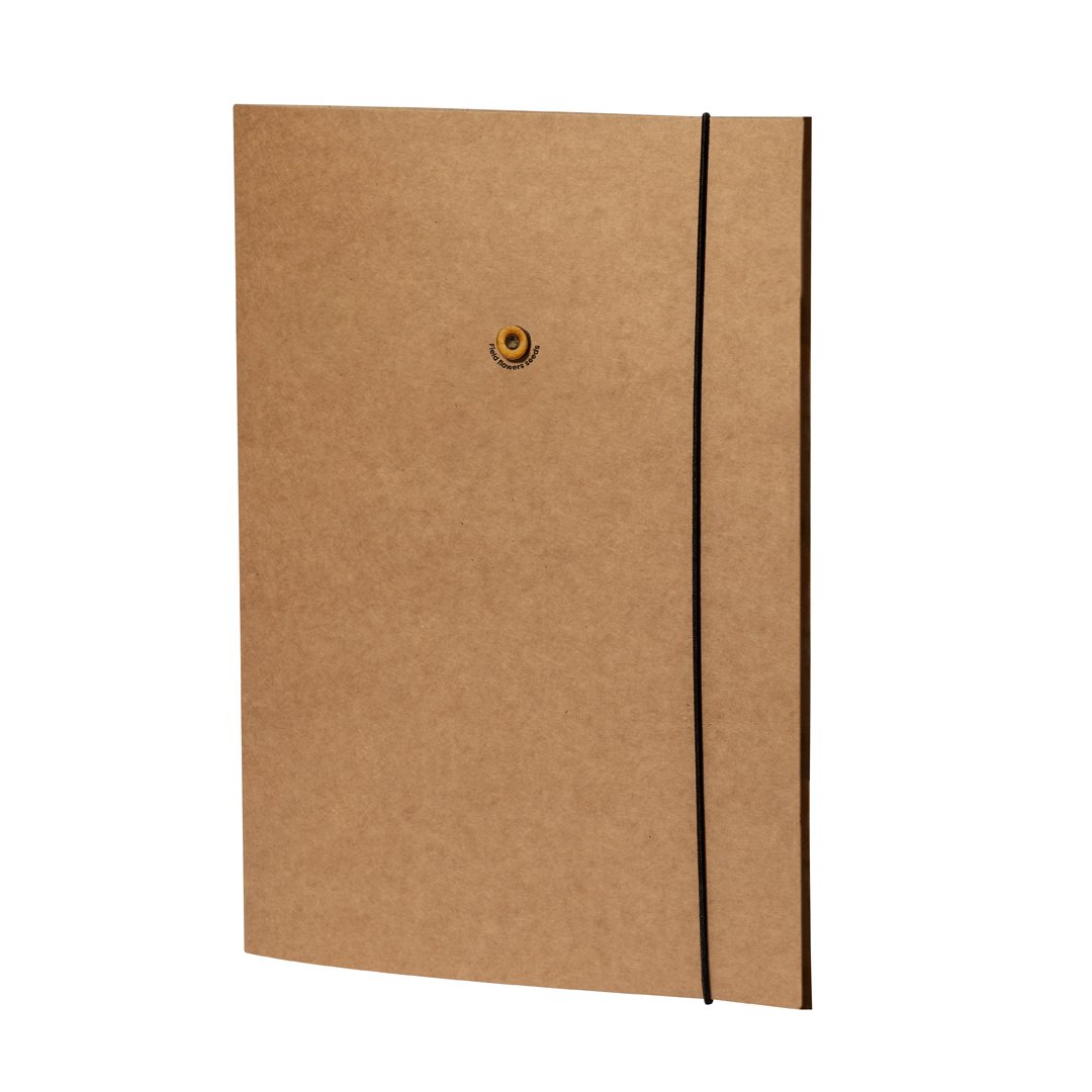 Carpeta Alameda
