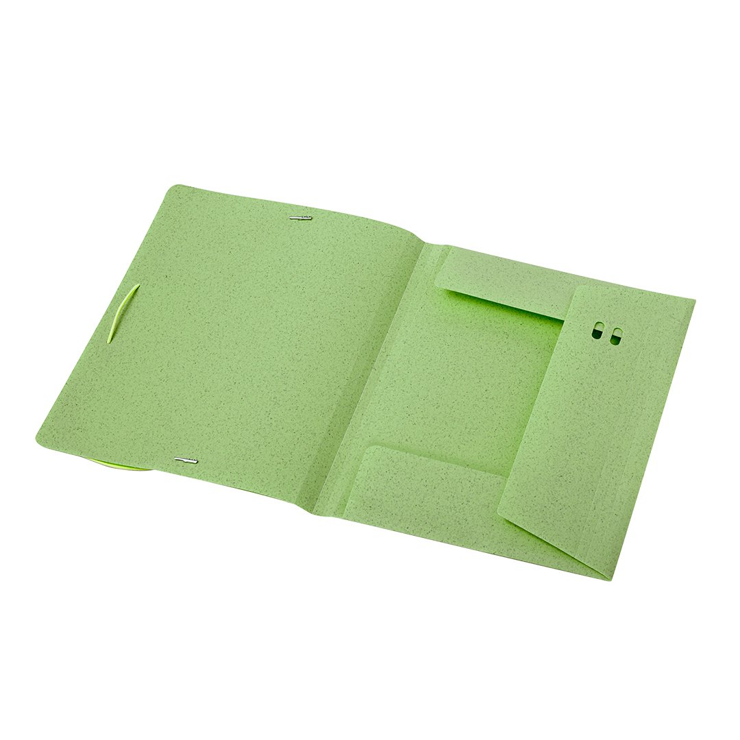 Carpeta Abejorro