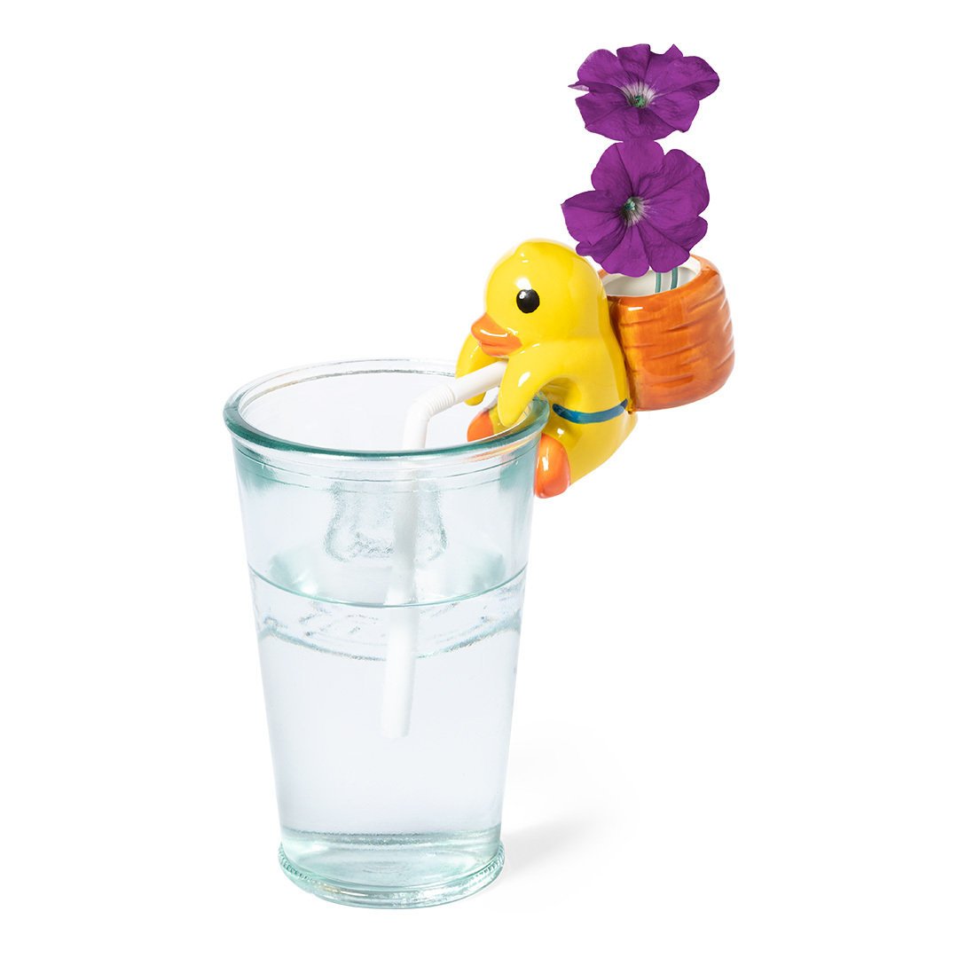Maceta Petunia